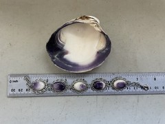 BR3 Costume Wampum bracelet Quahog Shell 7 to 7.5 Inches Adjustable