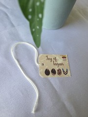 Organic Tagua Nut, Acai Seeds Necklace, Corral, 2 Strands, Handmade in Ecuador