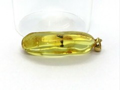 Amber Pendant Insect Fossil Insects Inclusion Silver 925 Gold Plated 4,2g 5734
