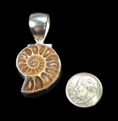 Vintage Ammonite Fossil Pendant 925 Sterling Silver Bezel Spiral Shell 1.75″