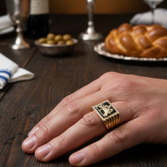 Lion of Judah In 14K Yellow Gold Jewish Men’s Ring Diamond Black Onyx Signet