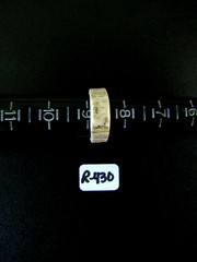PREMIUM HANDCRAFTED OOAK SHED DEER, ELK ANTLER RING,SIZE 8 3/4, R-430
