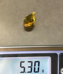 Amber Pendant 3 Insects Fossil Insect Inclusion Silver 925 Gold Plated 5,3g 6065