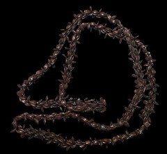 Nature Inspired Brown Koa Apple Seed Handmade Beaded Necklace