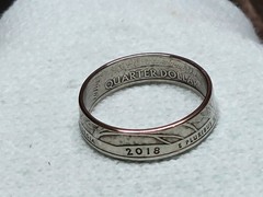 CUMBERLAND ISLAND, GA. – Size 11 State Quarter Coin Ring