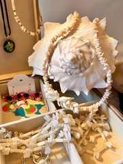 Summer Jewelry Lot – Whimsical Summer Earrings, Shell Necklaces, Sea Glass Brace