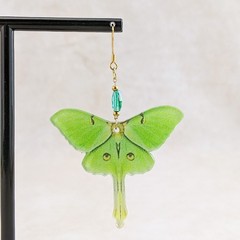 Luna Moth Gold Drop Earrings acrylic Curiosities Jewelry butterfly fashion gift