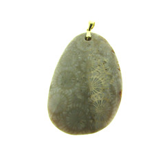 Starburst Ammonite Pendant in Sterling Silver Pendant 1.25*2.25