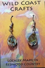 Abalone Earrings with Surgical Steel Wires
