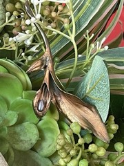 Vintage Brooch Michael Michaud Grey Peacock Pearl Bronze Calla Lily Leaf Pin