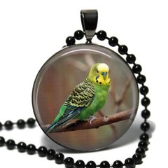 Green Parakeet Budgie Glass Top Pendant Necklace Handcrafted Gift