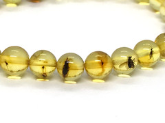 Amber Bracelet INSECT in EVERY BEAD Gift Baltic Round Beads Insects 5,1g 17464