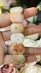 Natural Agatized Coral Fossil Beads Stretch Bracelet