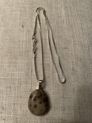 STUNNING Michigan Oval Petoskey Stone Polish Fossil Pendant W/ .925 Chain