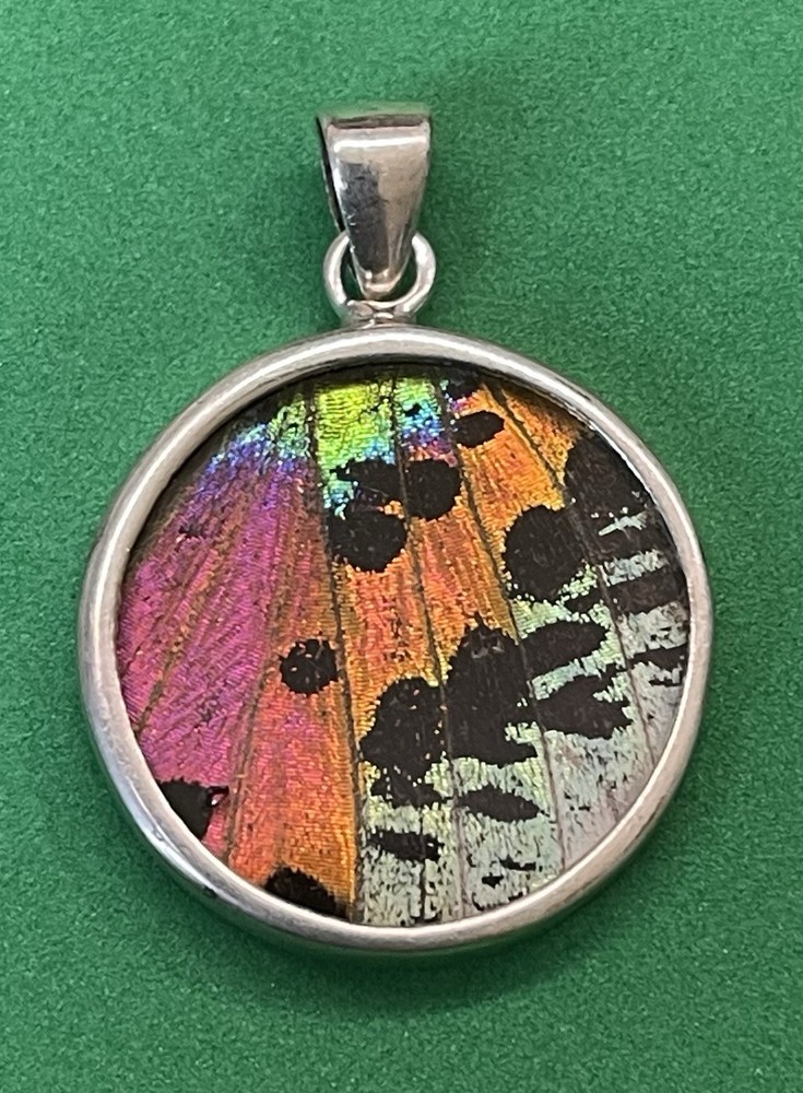 Madagascar Sunset Moth Wing Sterling Silver .925 Round Pendant Charm