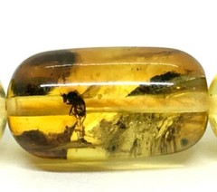 AMBER NECKLACE INSECT Gift Natural Baltic Amber Barrel Beads Jewelry 14,9g 15093