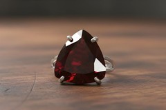 Garnet Ring Anemone 14k Rose Gold Filled Trillion Cut Triangle Gem
