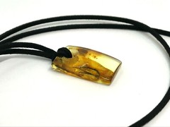 AMBER PENDANT Insect Gift Rectangular Baltic AMBER on Cord Unisex 4,6g 17897