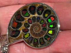 SEE VIDEO:SPECTACULAR RARE,AMMOLITE(CANADA) INLAY IN FOSSIL AMMONITE(MADAGASCAR)