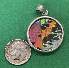 Madagascar Sunset Moth Wing Sterling Silver .925 Round Pendant Charm