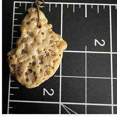 Natural White Coral Fossil Pendant Necklace Charm 1.75in Cottagecore