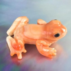 Frog Apricot Trumpet Shell Carving Art Sculpture for Collection or Jewelry 5.75g