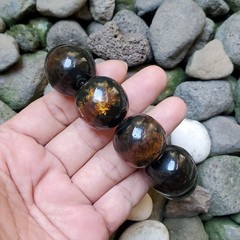 Sparkling Golden Black Coral Bracelet 24-26 MM Genuine Indonesian Sea Willow #18