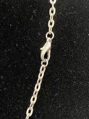 Spiral Turritella Shell Plated Slice Necklace