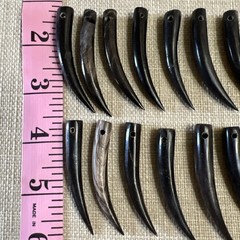 16 Vtg Handmade Curved Water Buffalo Horn Talons Tusk Pendants Jewelry Making