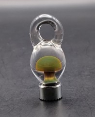Glass Mushroom Pendant – Made by Subconscious Design – USA