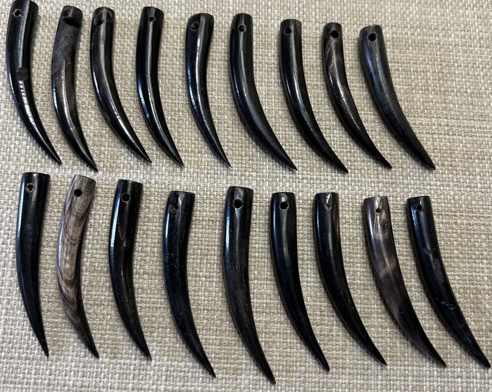 16 Vtg Handmade Curved Water Buffalo Horn Talons Tusk Pendants Jewelry Making