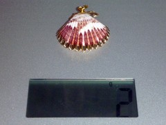 Handmade Natural Purple and White Scallop Shell Pendant with Gold Trim