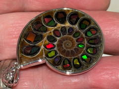 SEE VIDEO:SPECTACULAR RARE,AMMOLITE(CANADA) INLAY IN FOSSIL AMMONITE(MADAGASCAR)