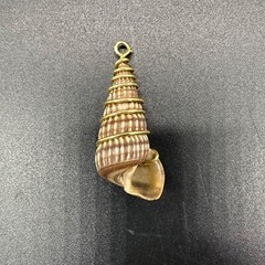 Natural Seashell Pendant Gold Toned Wire Sea Nautical Beach Summer Jewelry