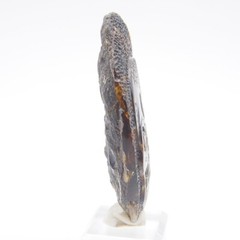 Mexican Amber Calavera Carving Pendant