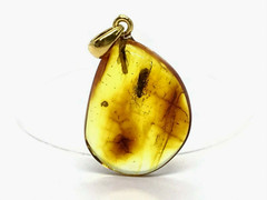 AMBER PENDANT 2 Insects Gift Fossil Insect Inclusion Baltic Amber 2,3g 10750