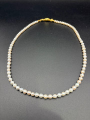 Graduated Freshwater Pearl Necklace