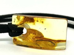 AMBER PENDANT Insect Gift Rectangular Baltic AMBER on Cord Unisex 4,6g 17897