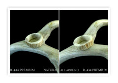 PREMIUM HANDCRAFTED OOAK SHED DEER, ELK ANTLER RING,SIZE 9, R-434