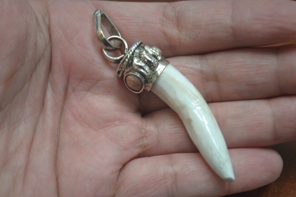 WHITE WHELK SEA SHELL AGATE GEMSTONE BRASS CAPPED PENDANT #T-4117
