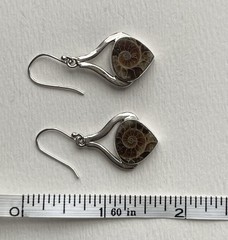 925 Sterling Silver + Ammonite Earrings Spiral Fossil Shell Handcrafted Artisan