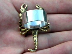 Brass Scorpion ring band solid 925 sterling silver size 7 8 9 10 11 12