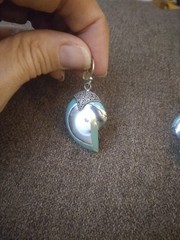 Nautilus Shell Earrings 925 Silver Frech Hooks Blue Green Bold Ocean MOP