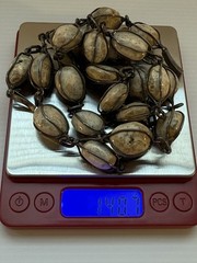 Vintage Mexican Sterling Silver CJC Wire Wrapped Jasper Necklace 140g Artisan 37