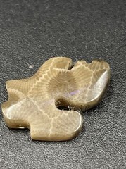 Michigan-Shaped Petoskey Stone (pendant) 1”