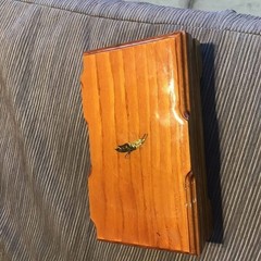 Hand Made Jewelry Box One Wood Slab 2 Sections Handcut BrassButterfly 5″X9″