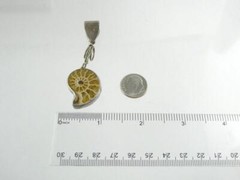 Sterling Silver Ammonite Fossil Pendant 925 2.5 Inch Length 9.1g
