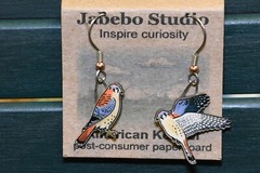 Jabebo Earrings American Kestrel