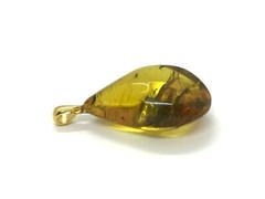 Amber Pendant 3 Insects Fossil Insect Inclusion Silver 925 Gold Plated 5,3g 6065