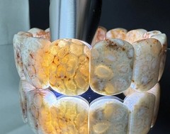 HIGH GRADE NATURAL CORAL FOSSIL BRACELET/ VARIOUS FLOWERS PATTERN